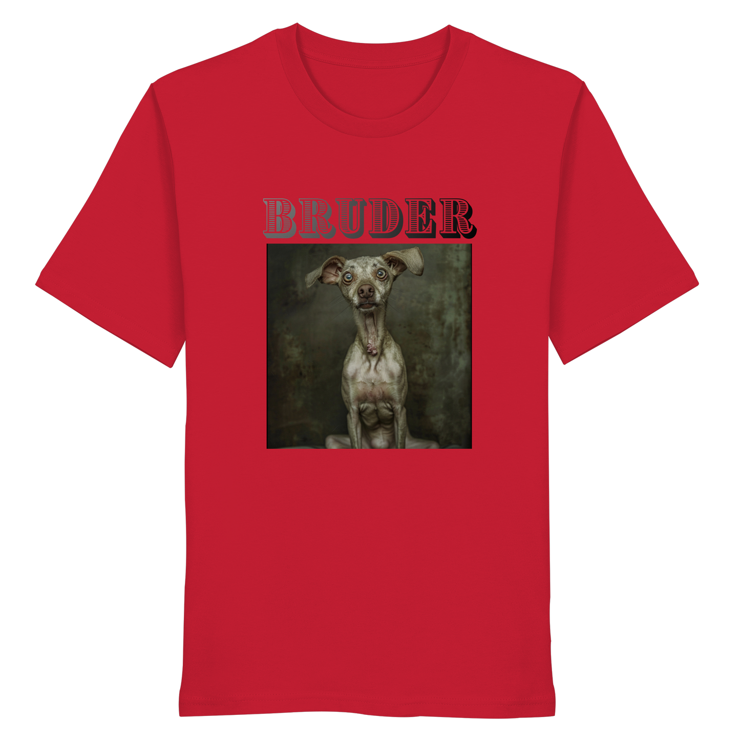 BRUDER - Organic Shirt